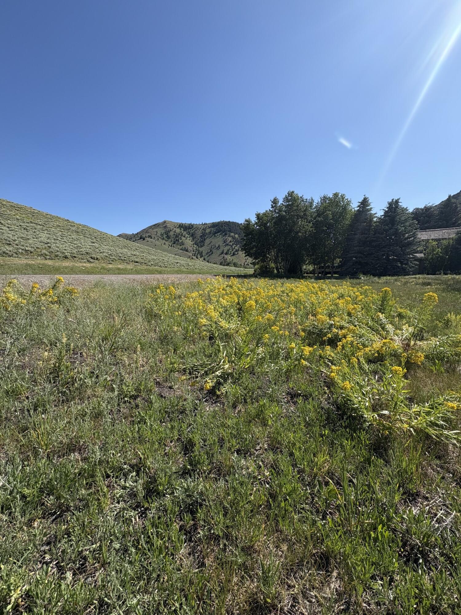 232 Elkhorn Road Sun Valley, ID 83353 - Photo 4 of 11 June 3
