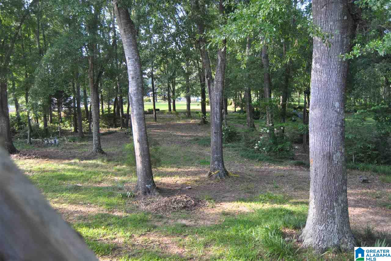 576 Pine Harbor Road Pell City, AL 35128 - Photo 21 of 28