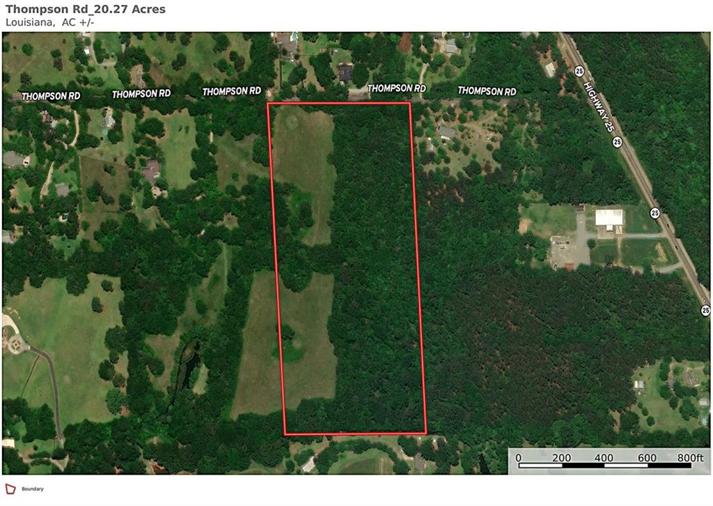 20-acres Thompson Road Folsom, LA 70437 - Photo 4 of 6