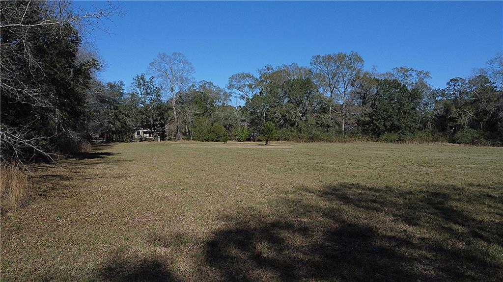 20-acres Thompson Road Folsom, LA 70437 - Photo 5 of 6