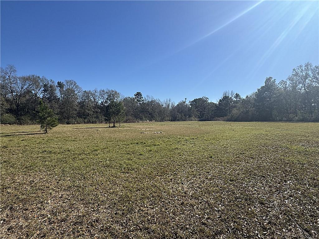 20-acres Thompson Road Folsom, LA 70437 - Photo 6 of 6