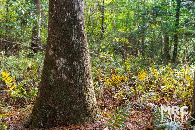 a view of a lake with a building in the background