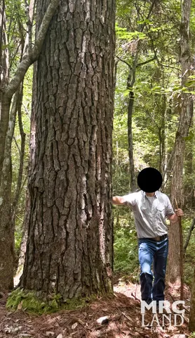 a view of a lot of a building