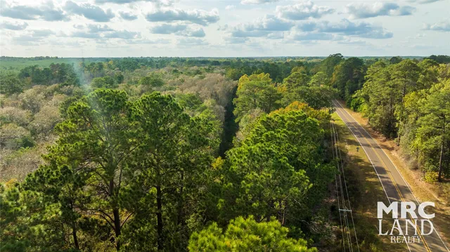 a view of a garden with a trees
