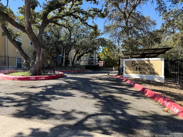 a view of street with large trees