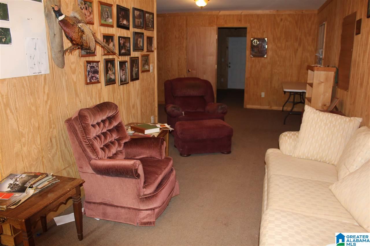 1652 County Road 101 Kellyton, AL 35089 - Photo 11 of 28