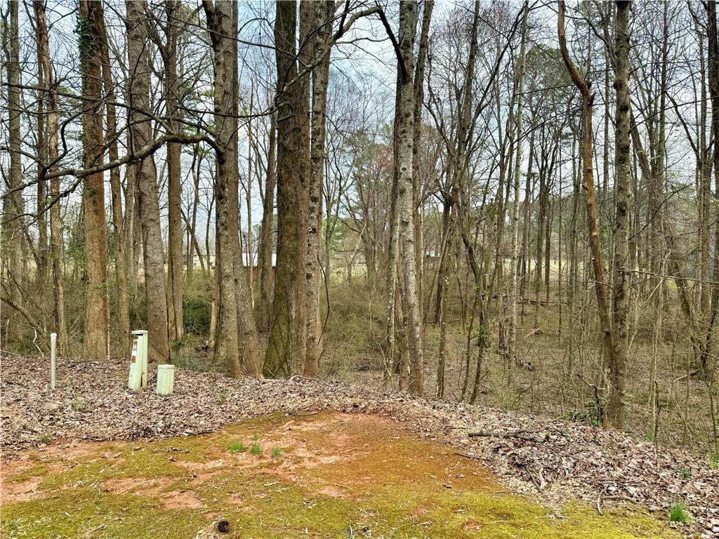 1680 Greystone Road Cumming, GA 30040 - Photo 2 of 9 a view of a backyard of the house