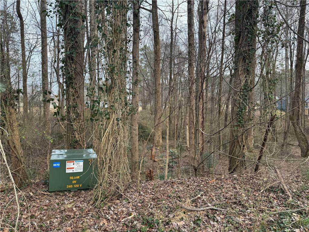 1680 Greystone Road Cumming, GA 30040 - Photo 3 of 9 a view of a dry yard