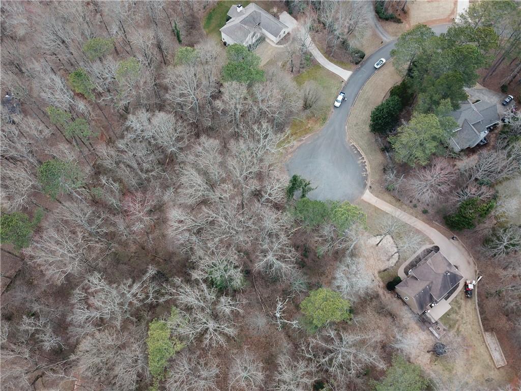 1680 Greystone Road Cumming, GA 30040 - Photo 7 of 9 a view of a yard with plants