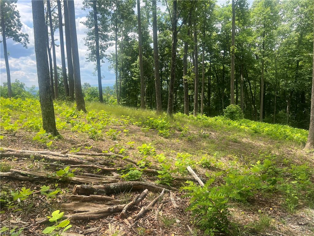 Tbd Wilderness Road Hays, NC 28635 - Photo 15 of 15