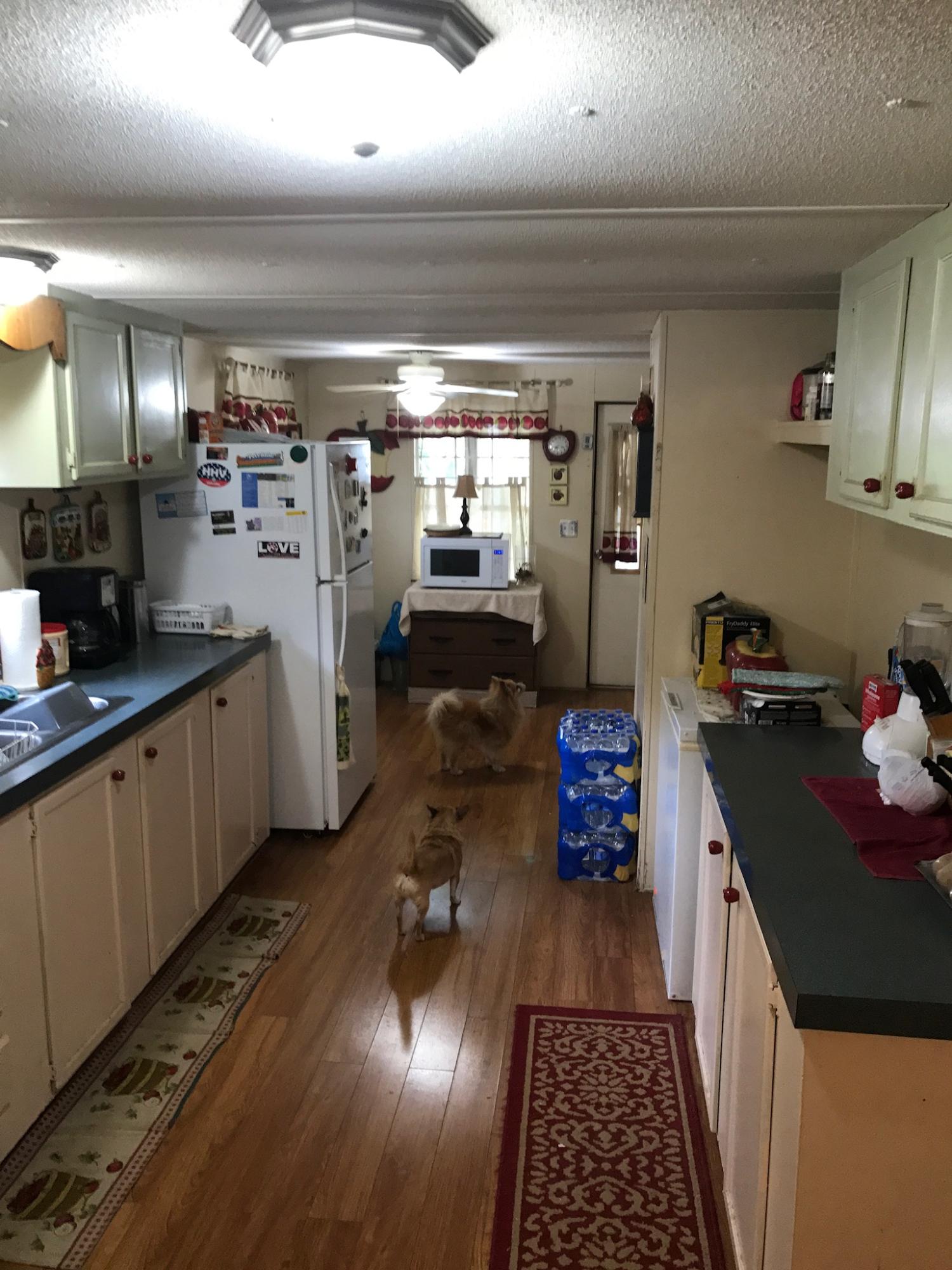 175 Blue Gill Loop DeFuniak Springs, FL 32433 - Photo 6 of 21 Gallery Image 6