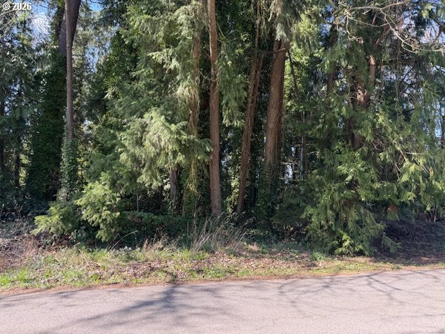 East 2nd To W 1st Street Rainier, OR 97048 - Photo 2 of 7 a view of forest