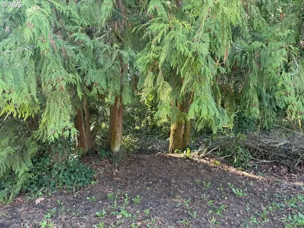 a view of outdoor space and trees