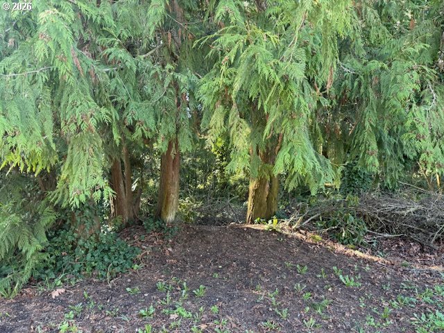 East 2nd To W 1st Street Rainier, OR 97048 - Photo 3 of 7 a view of outdoor space and trees