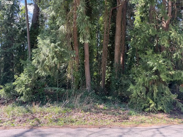 East 2nd To W 1st Street Rainier, OR 97048 - Photo 4 of 7 a view of forest