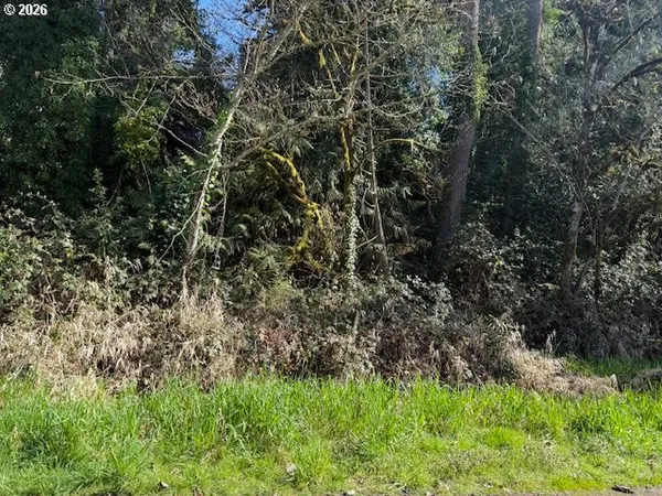 a view of a yard