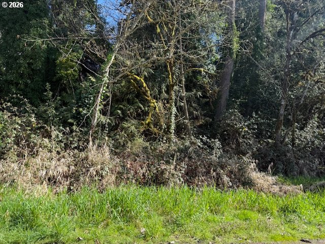 East 2nd To W 1st Street Rainier, OR 97048 - Photo 5 of 7 a view of a yard