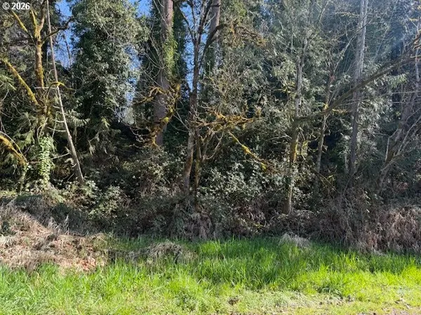 a view of a lush green space