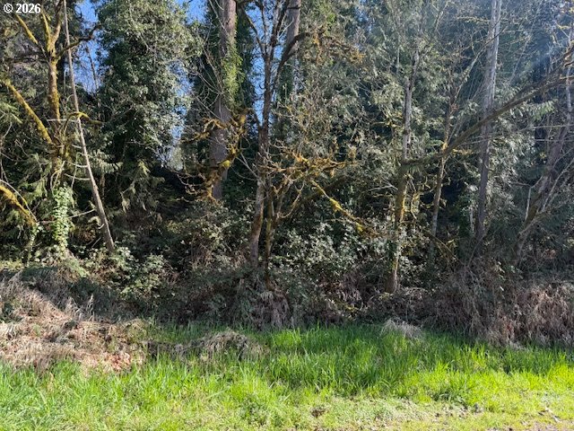 East 2nd To W 1st Street Rainier, OR 97048 - Photo 6 of 7 a view of a lush green space