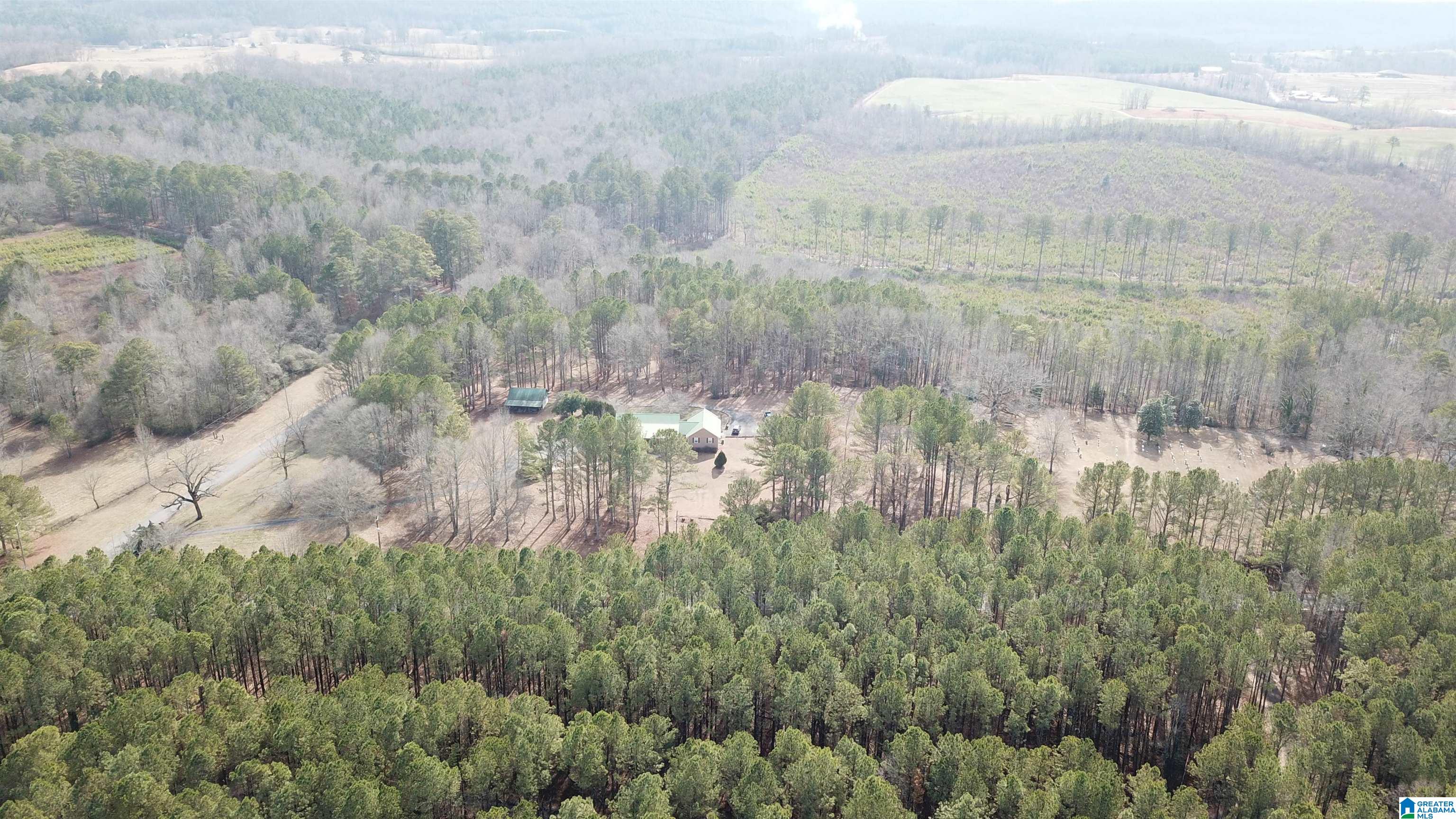 0 Altoona Cutoff Road, Unit 47 5 Oneonta, AL 35121 - Photo 25 of 36