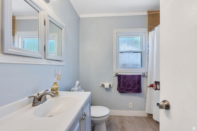 44 North 300 West Springville, UT 84663 - Photo 6 of 24 Bathroom featuring a single vanity with an integrated sink, dual mirrored medicine cabinets, a window with privacy glass, a commode, and wood-finish flooring