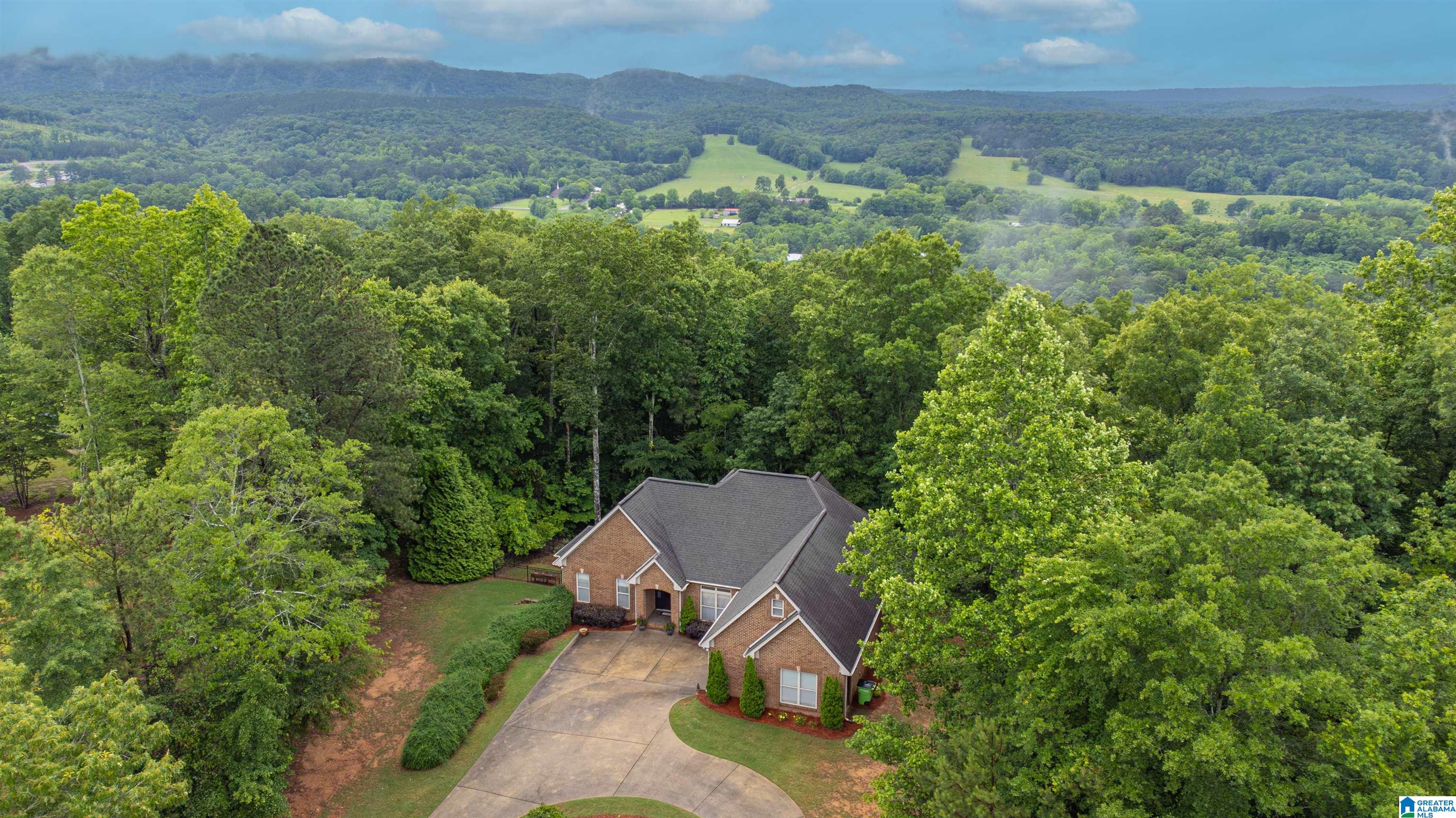 121 Middle Rdg Trail Springville, AL 35146 - Photo 4 of 45
