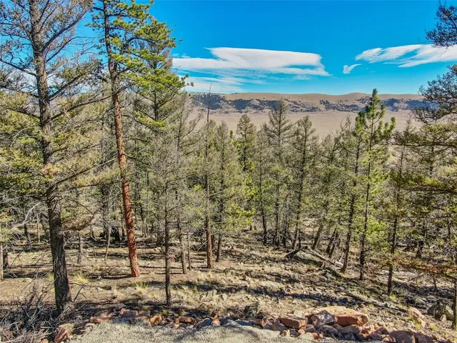 a view of beach and ocean