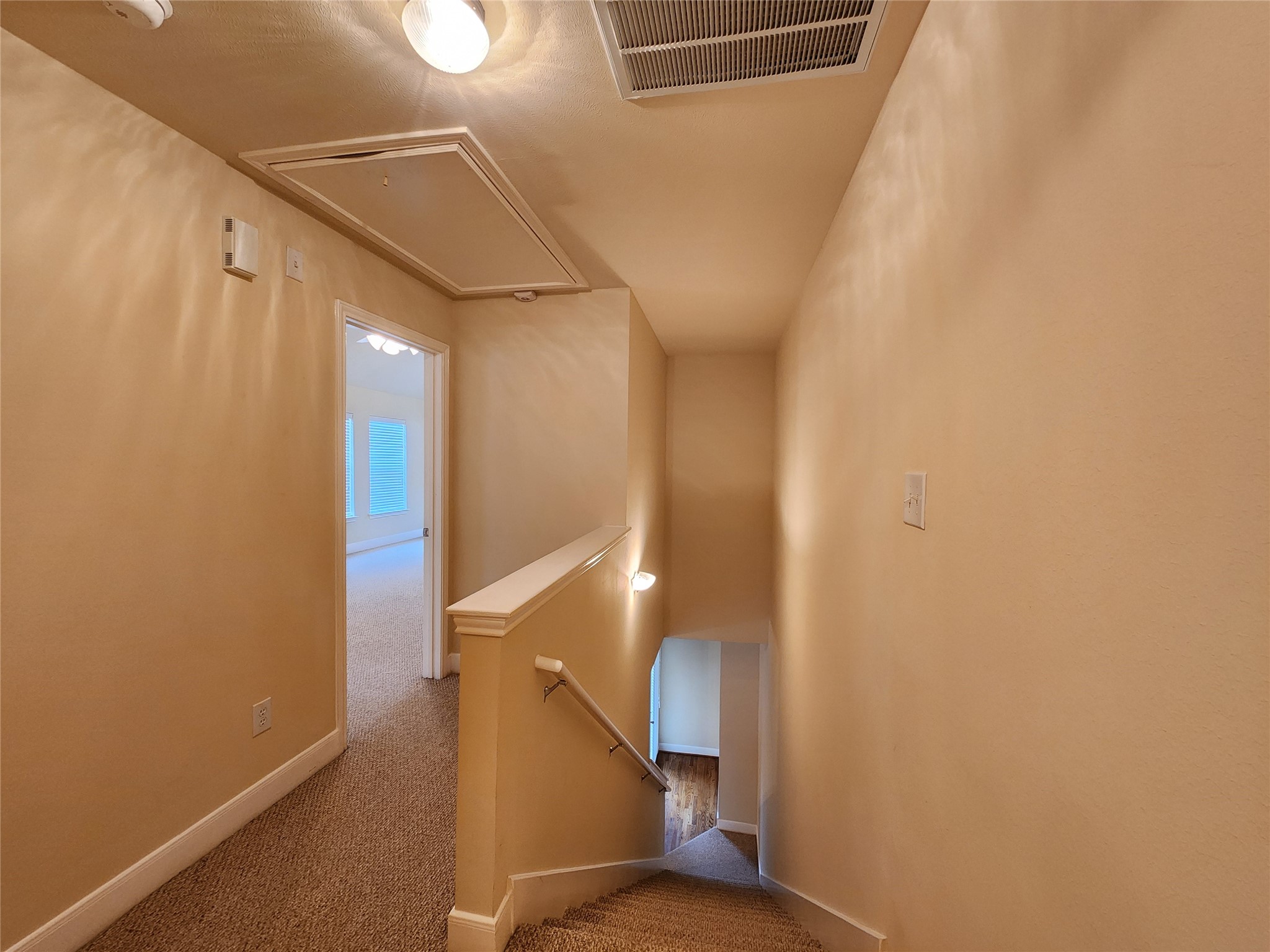 4100 Blossom Street Houston, TX 77007 - Photo 9 of 24