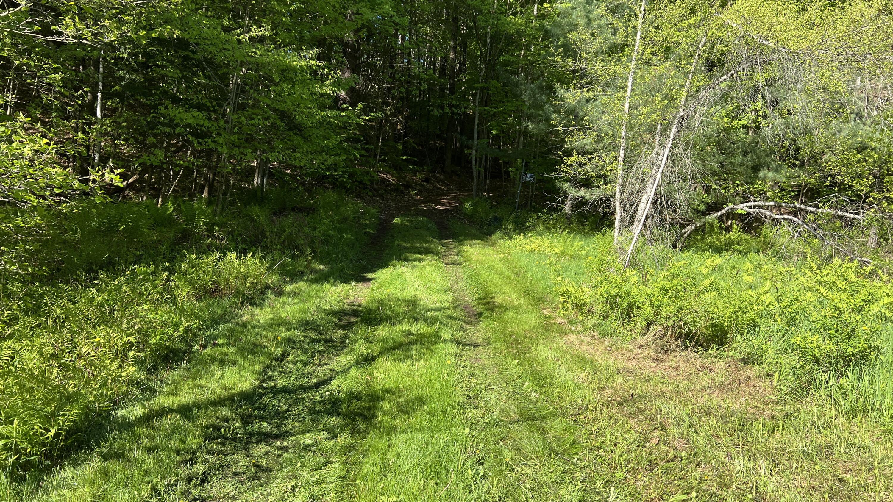 273 True Brook Road Saranac, NY 12981 - Photo 5 of 17 IMG_7894