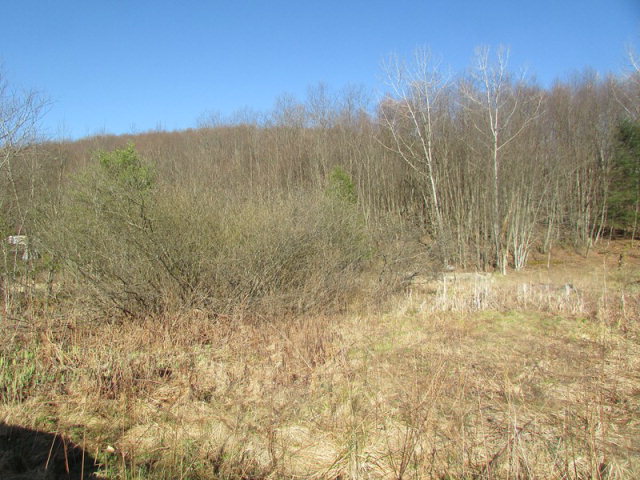 Crystal Springs Road Tionesta, PA 16353 - Photo 1 of 1