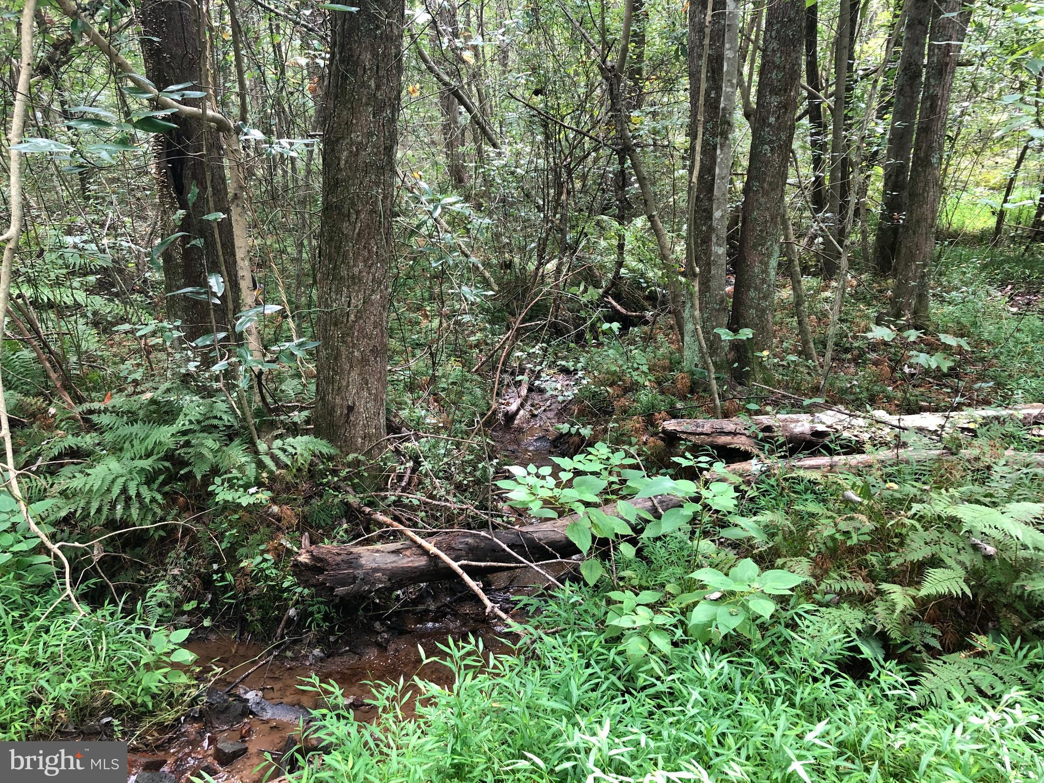 Lot 4 Settle School Road Rixeyville, VA 22737 - Photo 2 of 13 Small stream that comes from a spring