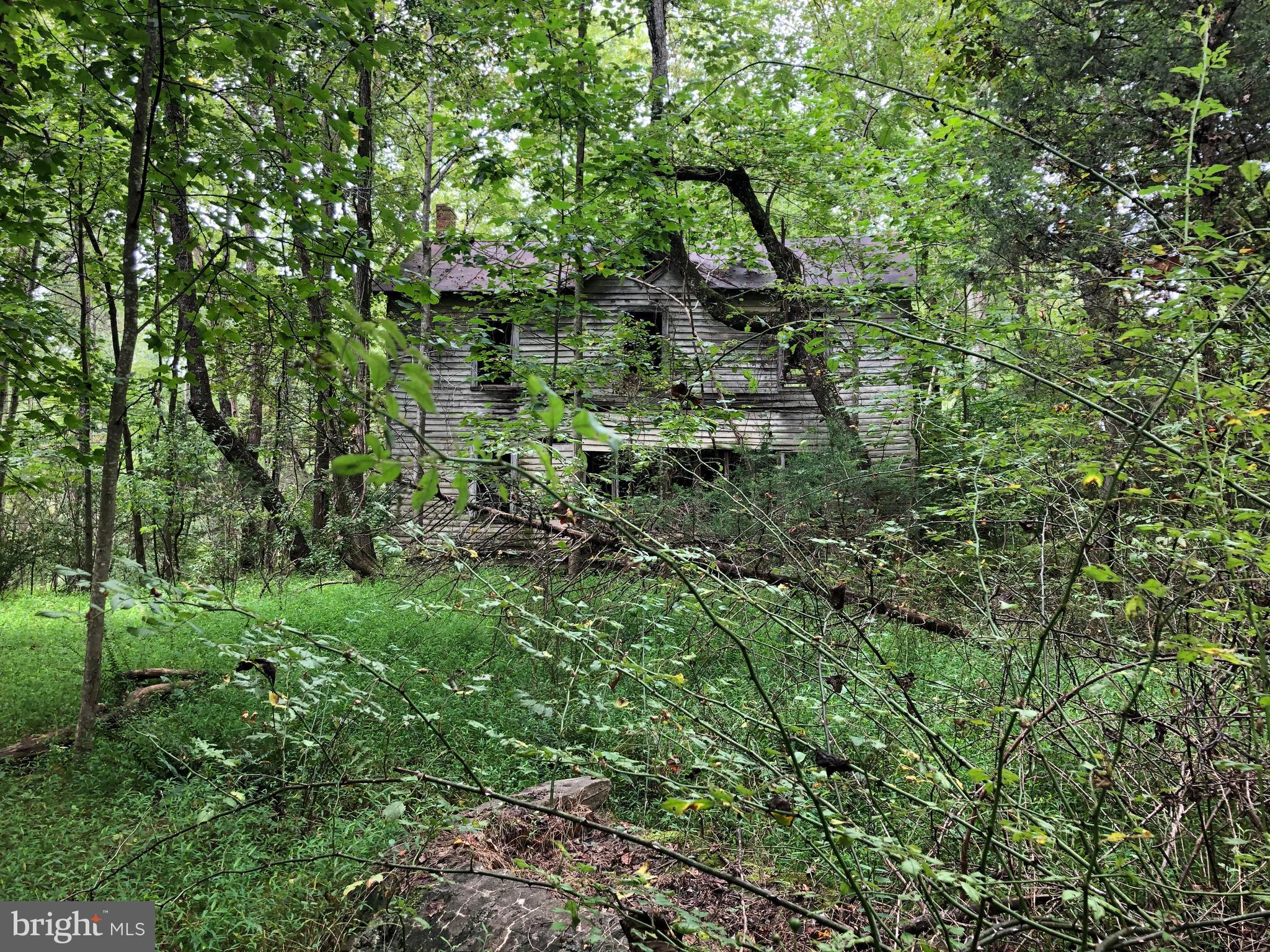 Lot 4 Settle School Road Rixeyville, VA 22737 - Photo 6 of 13 Old house on property