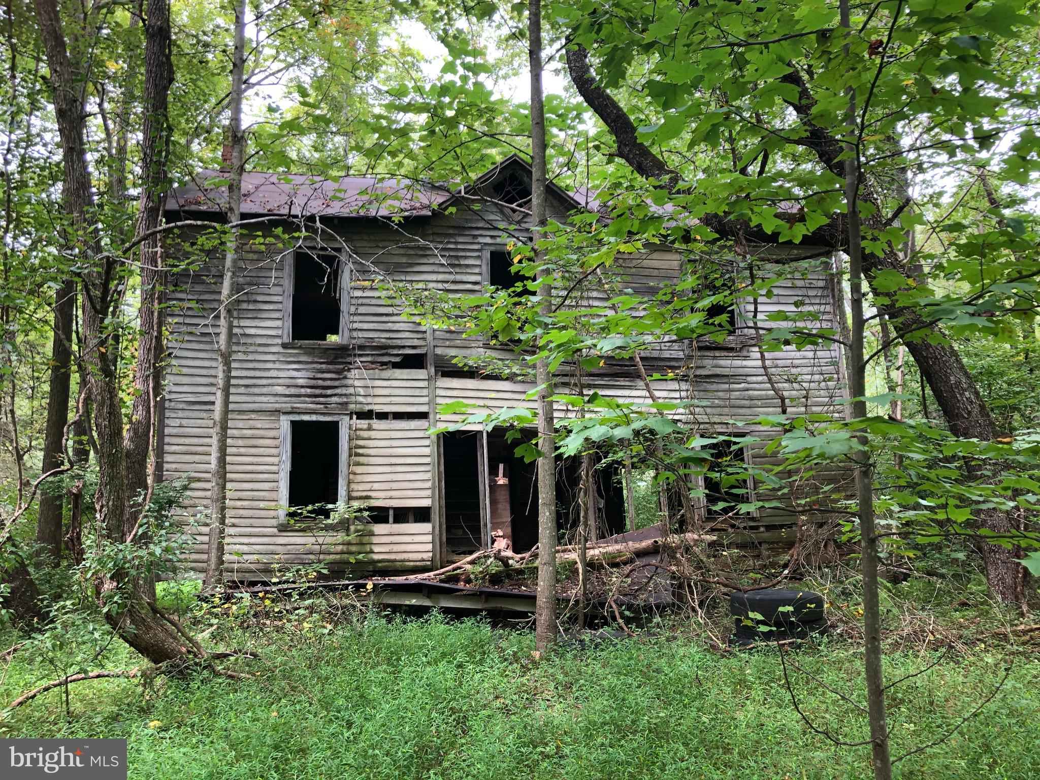 Lot 4 Settle School Road Rixeyville, VA 22737 - Photo 7 of 13 Old house on property