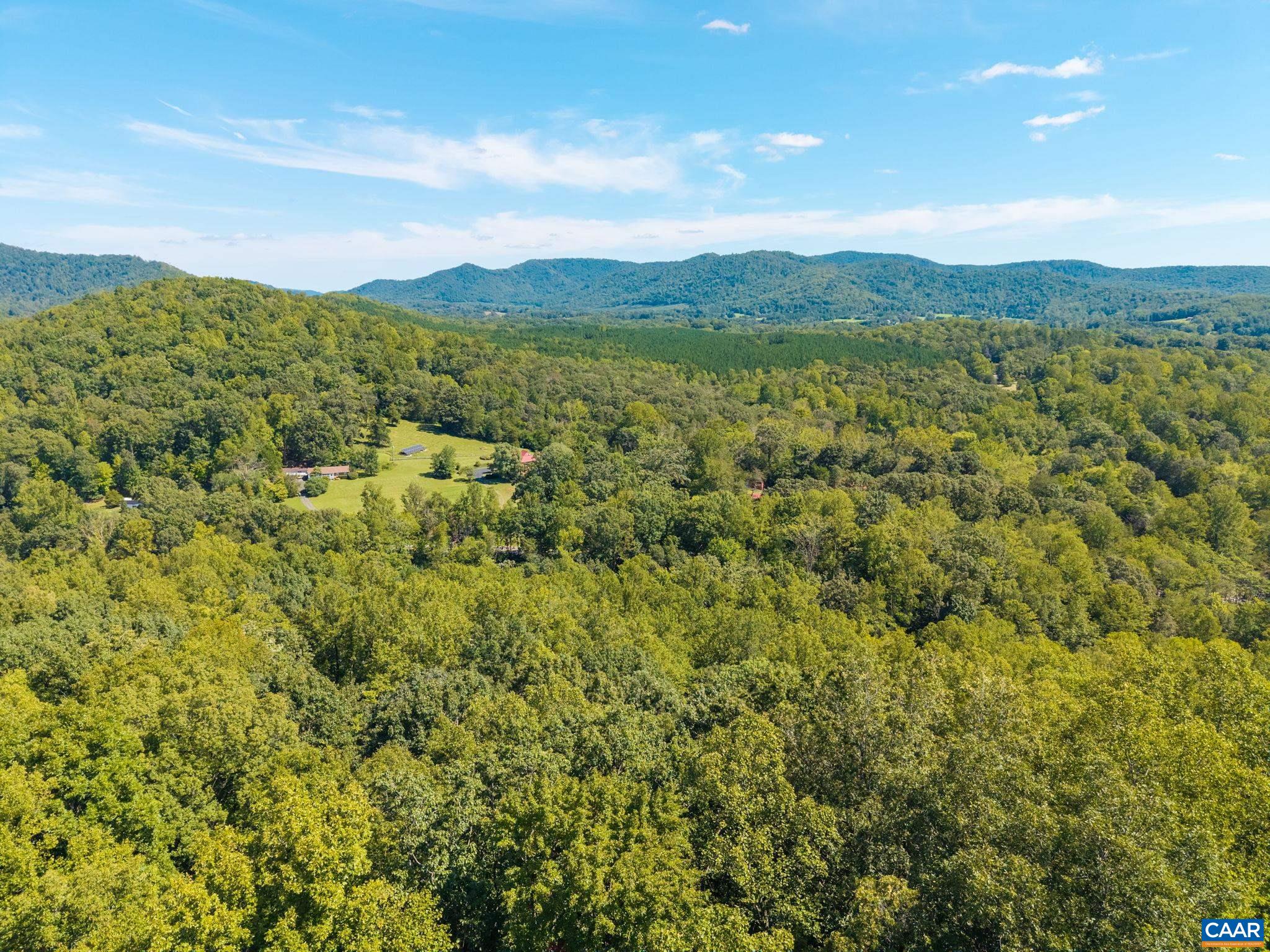 0 Irish Road Faber, VA 22938 - Photo 9 of 17 Gallery Image 9