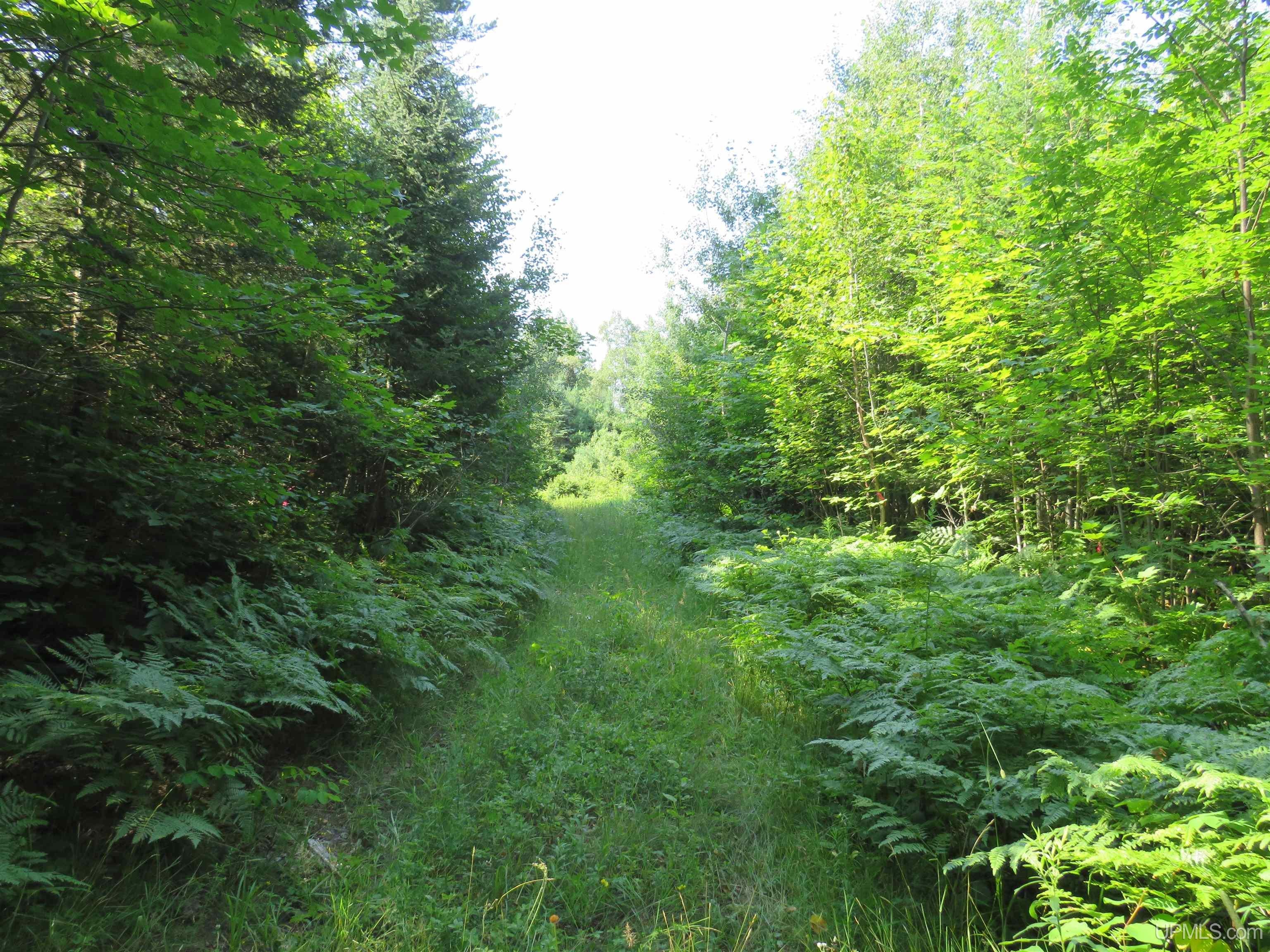 Tbd Off King Lake Road Michigamme, MI 49861 - Photo 40 of 45 Gallery Image 40
