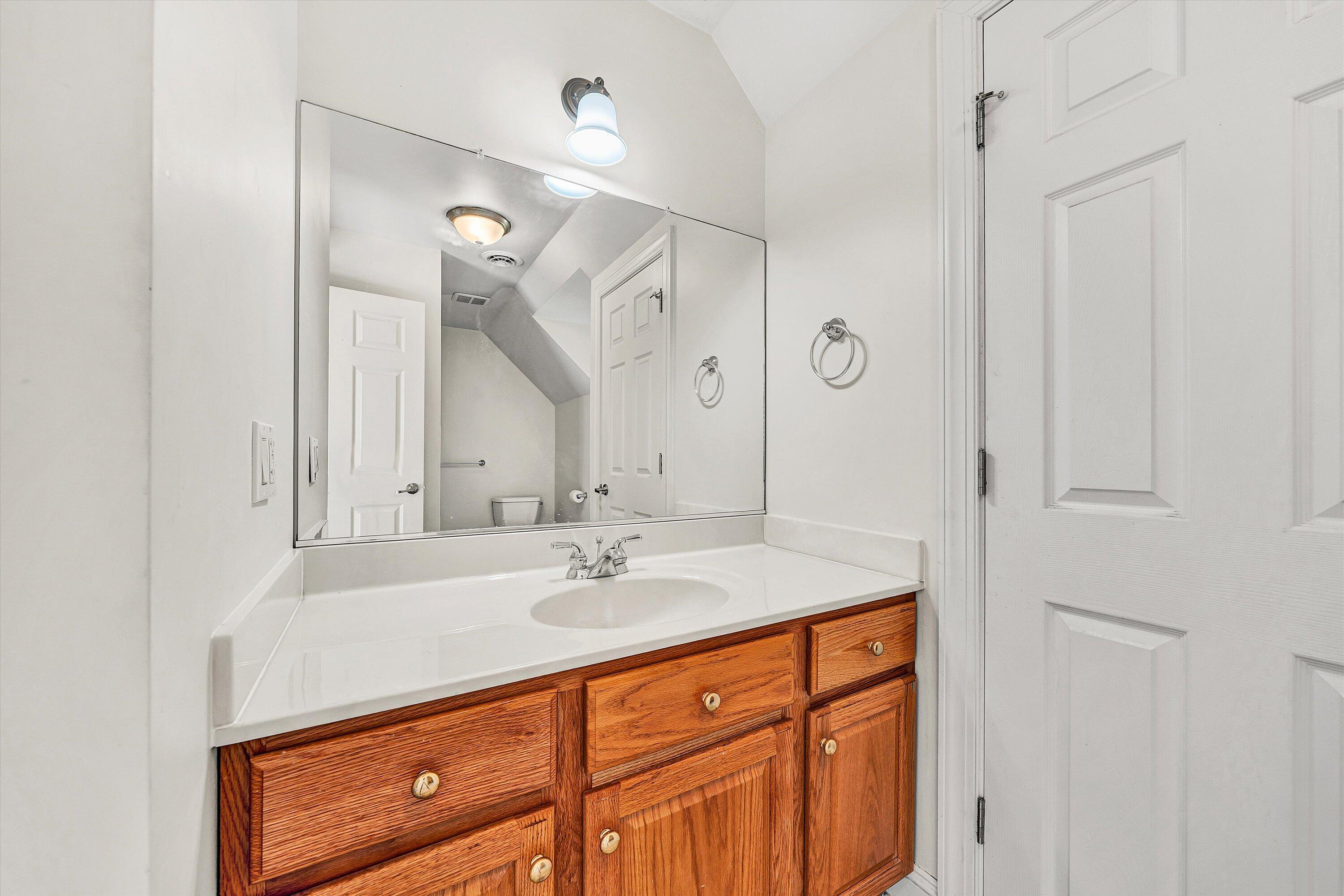 401 Piney Ridge Road Covington, VA 24426 - Photo 30 of 83 a bathroom with a sink vanity and a mirror