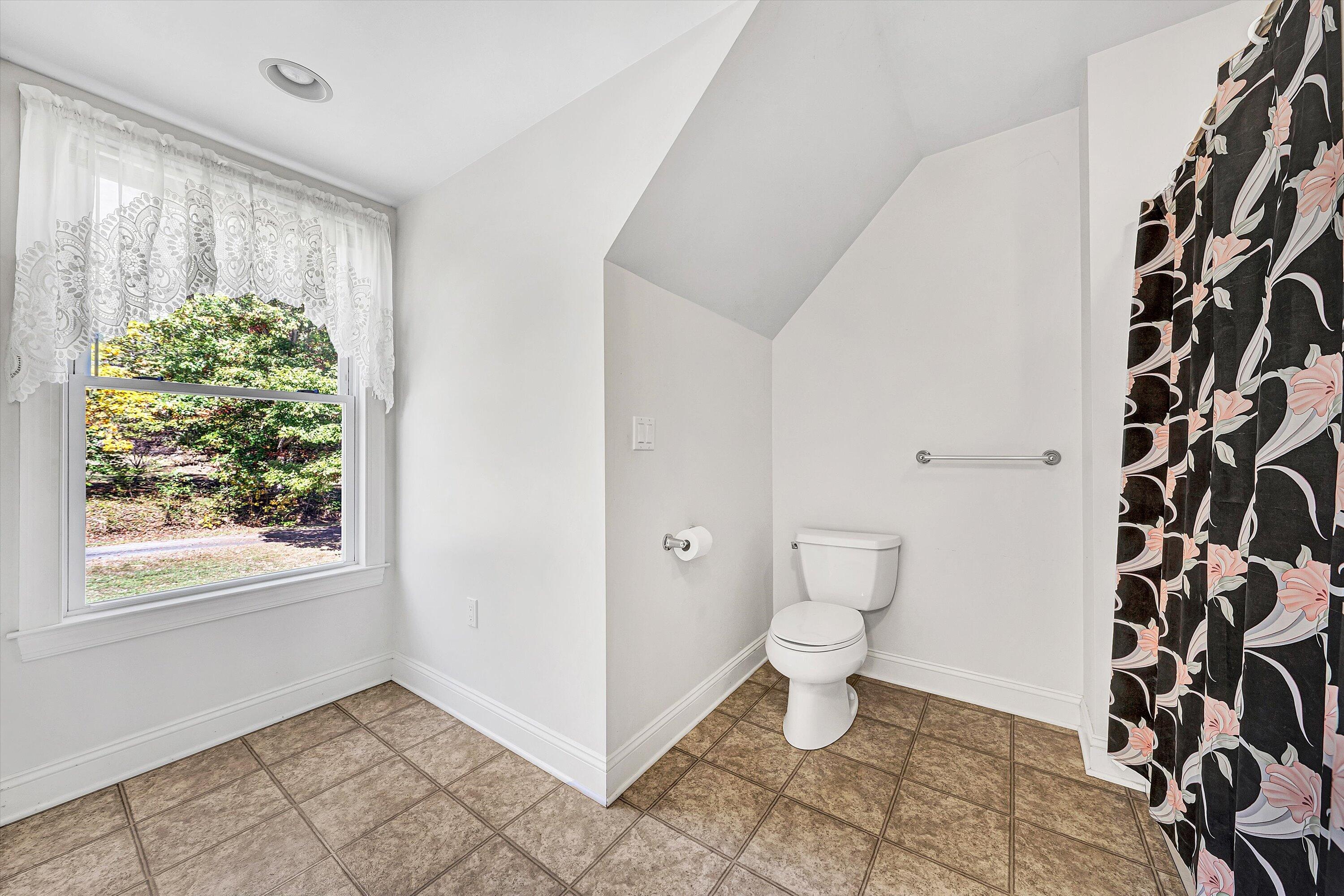 401 Piney Ridge Road Covington, VA 24426 - Photo 31 of 83 a bathroom with a toilet and a shower curtain