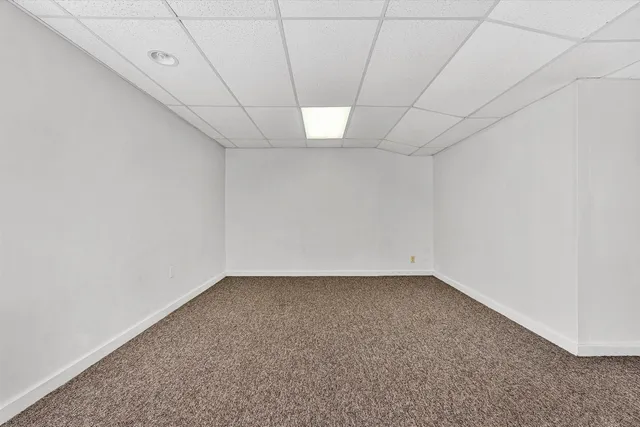 a view of a big yard with plants and large trees