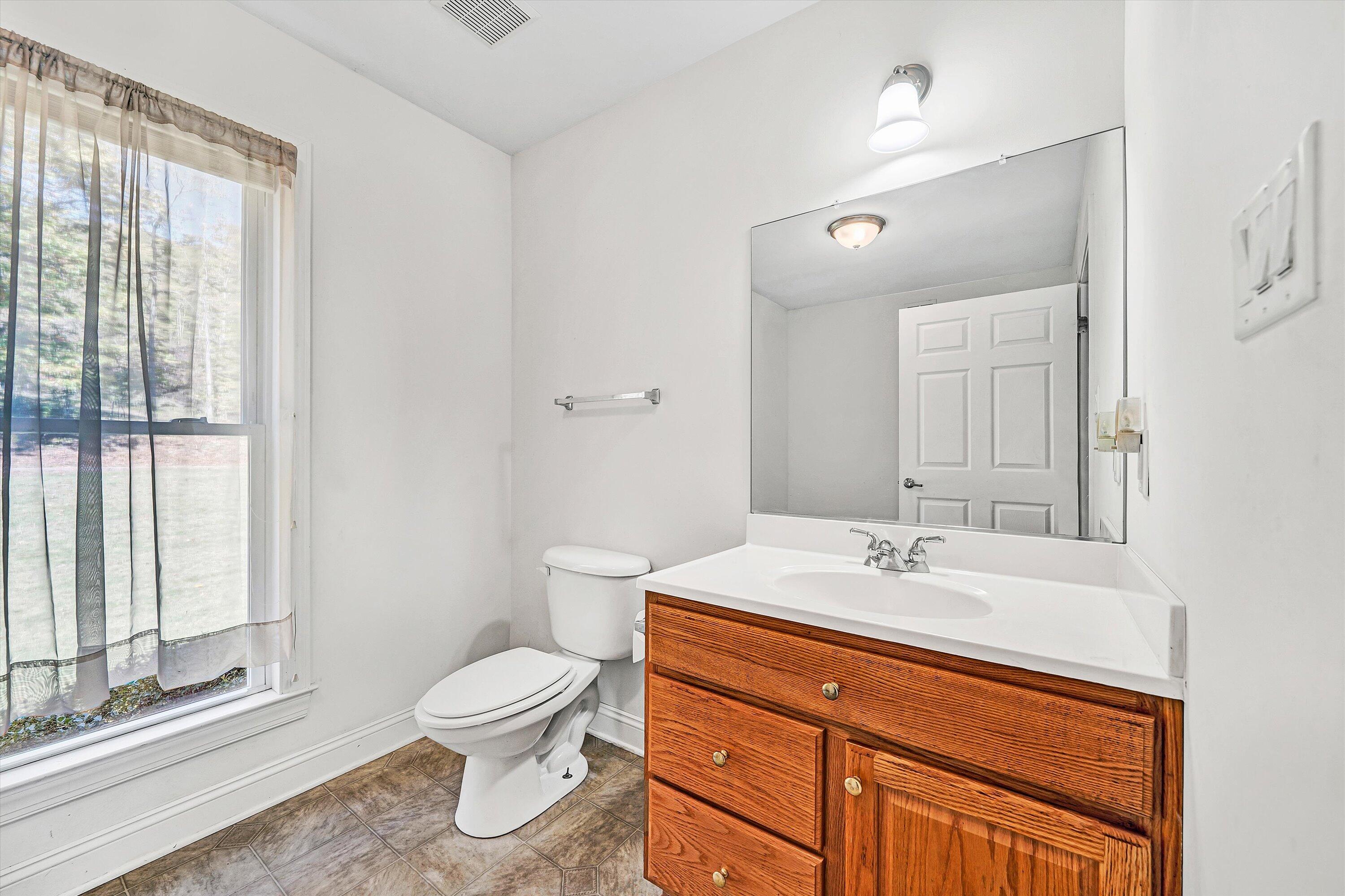 401 Piney Ridge Road Covington, VA 24426 - Photo 42 of 83 a bathroom with a toilet a sink and a large mirror