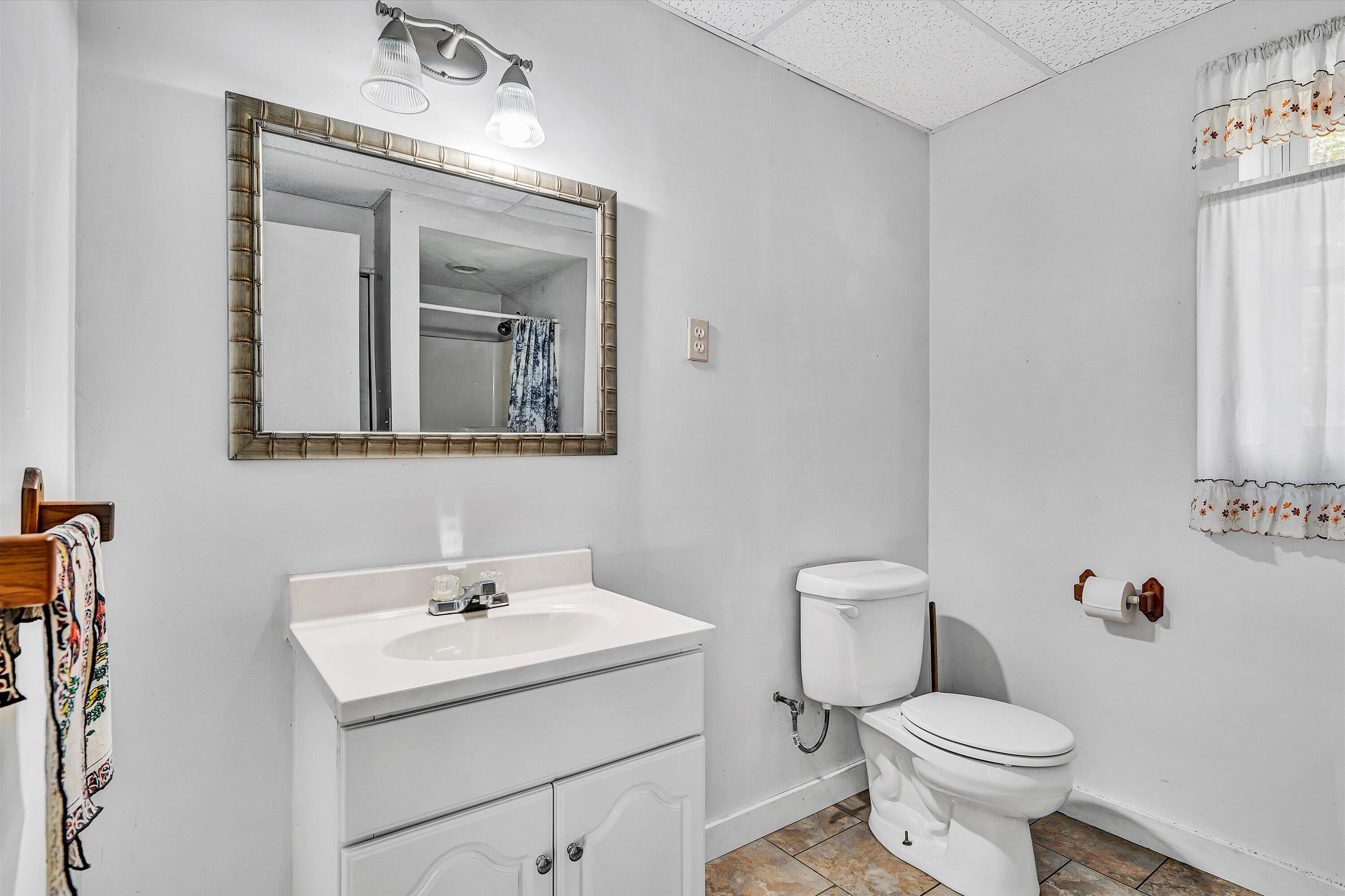 401 Piney Ridge Road Covington, VA 24426 - Photo 46 of 83 a bathroom with a toilet sink and mirror