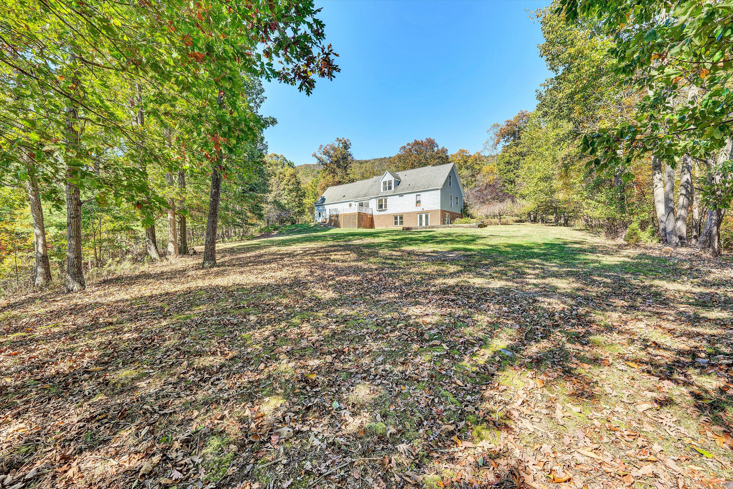 401 Piney Ridge Road Covington, VA 24426 - Photo 60 of 83 a view of a big yard with plants and large trees