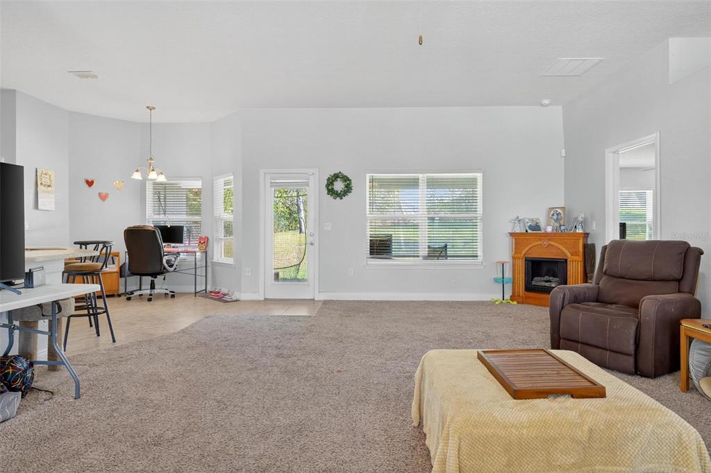 2005 Angel Fish Loop Leesburg, FL 34748 - Photo 16 of 54 a living room with furniture and a fireplace