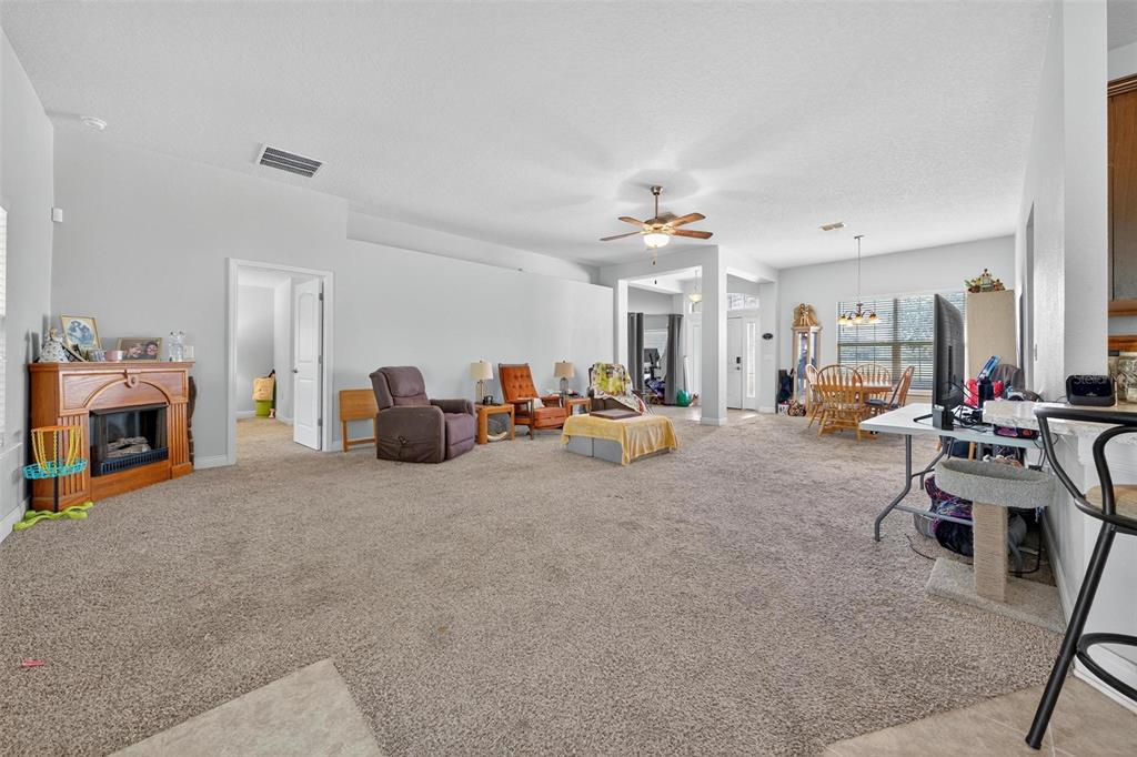 2005 Angel Fish Loop Leesburg, FL 34748 - Photo 17 of 54 a living room with furniture and a fireplace