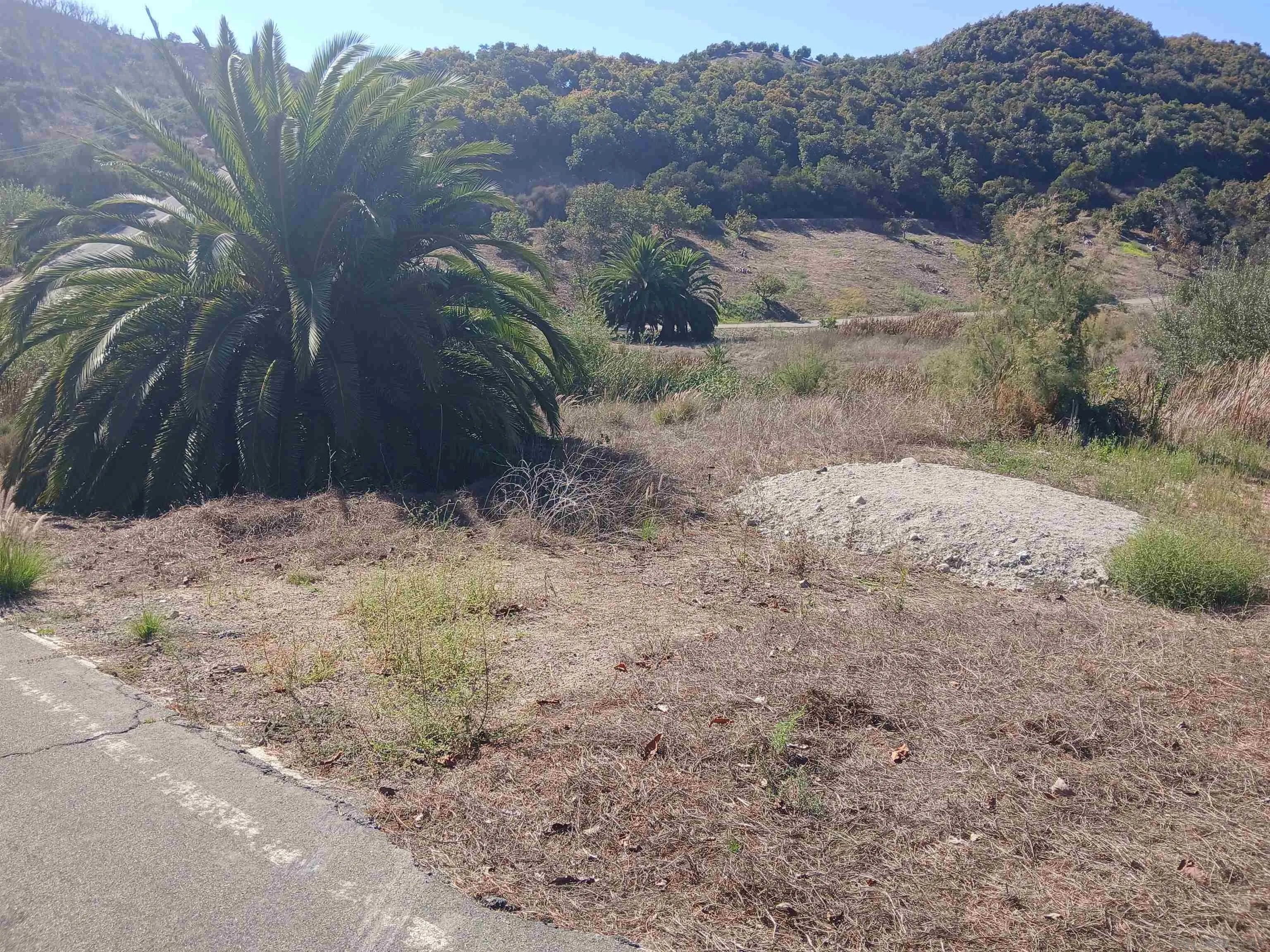 0 Los Gatos Road Temecula, CA 92590 - Photo 14 of 19 a view of a dry yard with trees