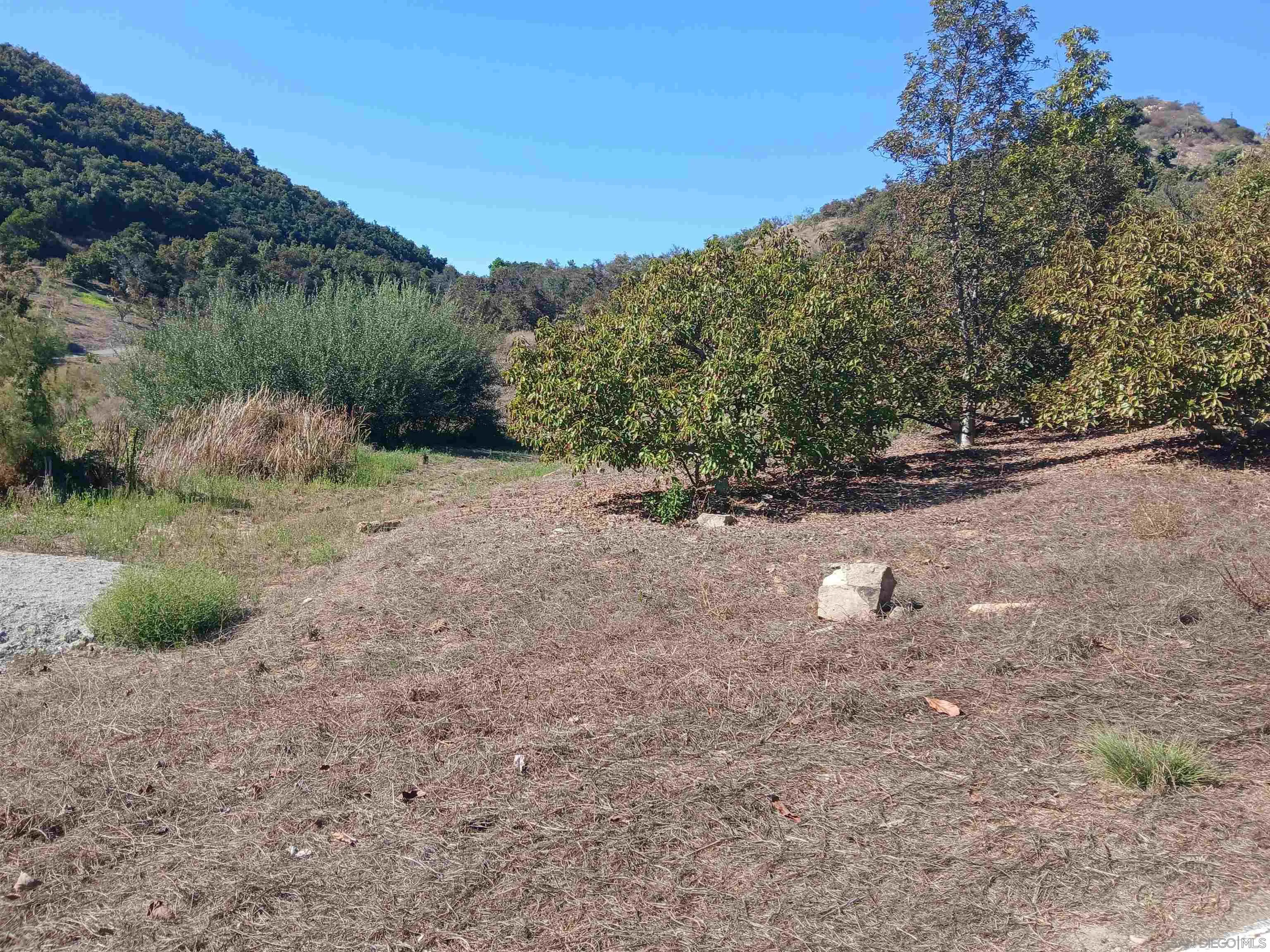 0 Los Gatos Road Temecula, CA 92590 - Photo 15 of 19 a view of a dry yard with trees