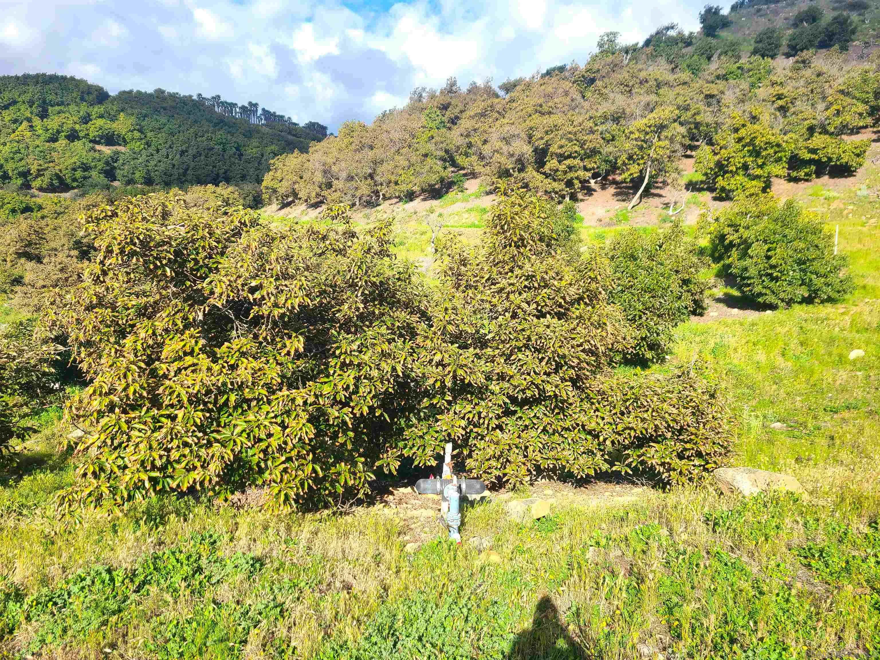 0 Los Gatos Road Temecula, CA 92590 - Photo 4 of 19 a view of a yard of a building