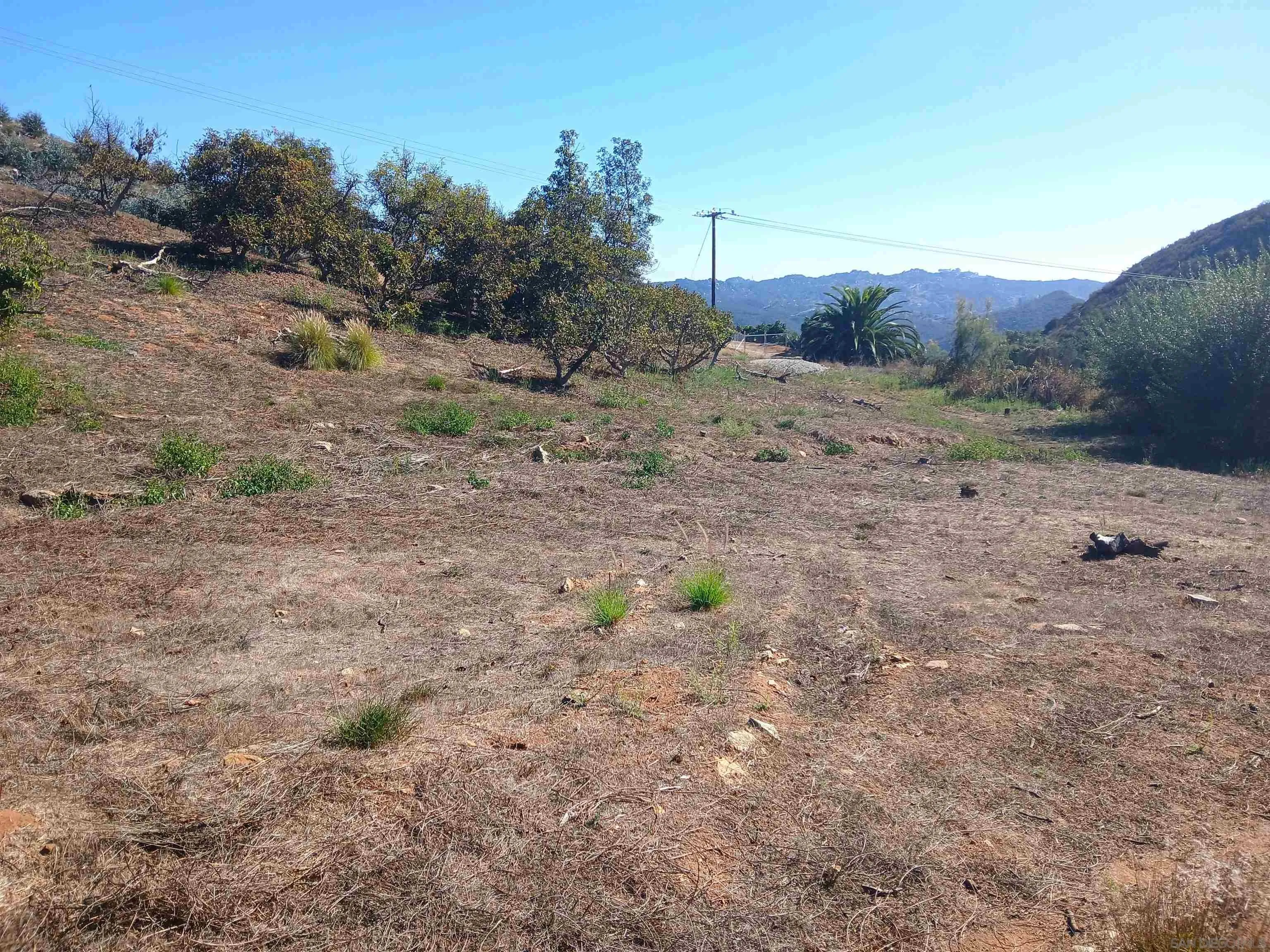 0 Los Gatos Road Temecula, CA 92590 - Photo 9 of 19 a view of a dry yard with trees