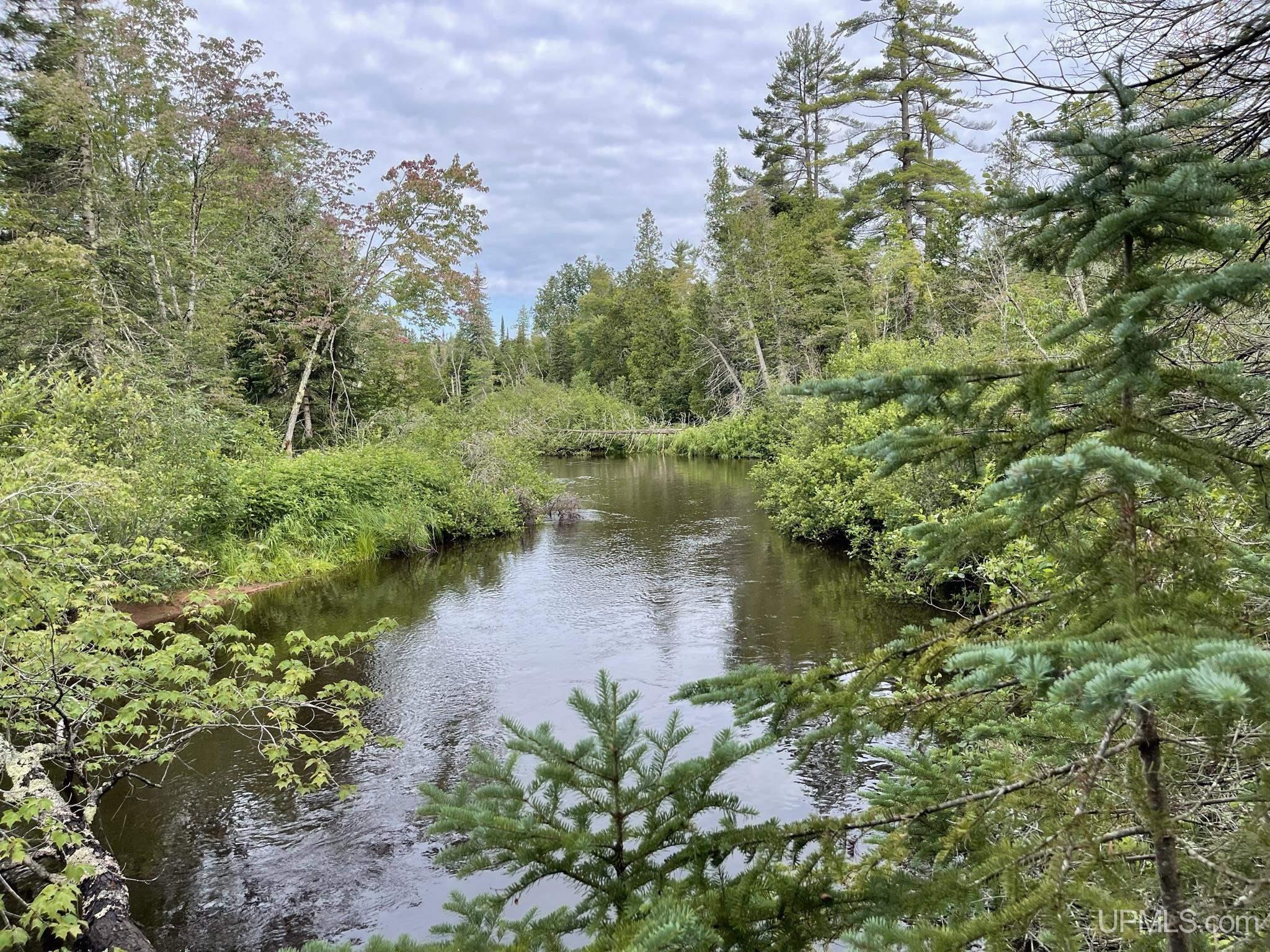 Tbd Tbd Hay Meadow Road Manistique, MI 49854 - Photo 1 of 51