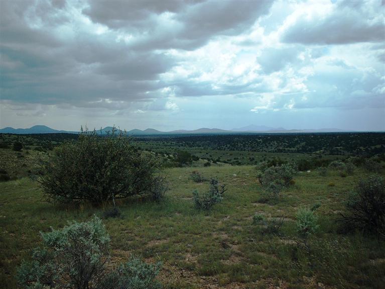 7757-7925 Sharp Knife Road Williams, AZ 86046 - Photo 2 of 8 Primary Photo