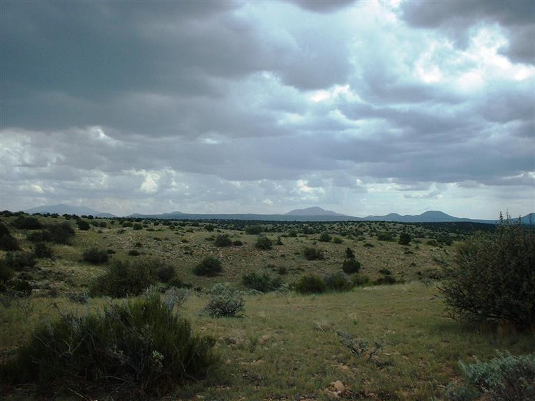 7757-7925 Sharp Knife Road Williams, AZ 86046 - Photo 3 of 8 Additional Photo